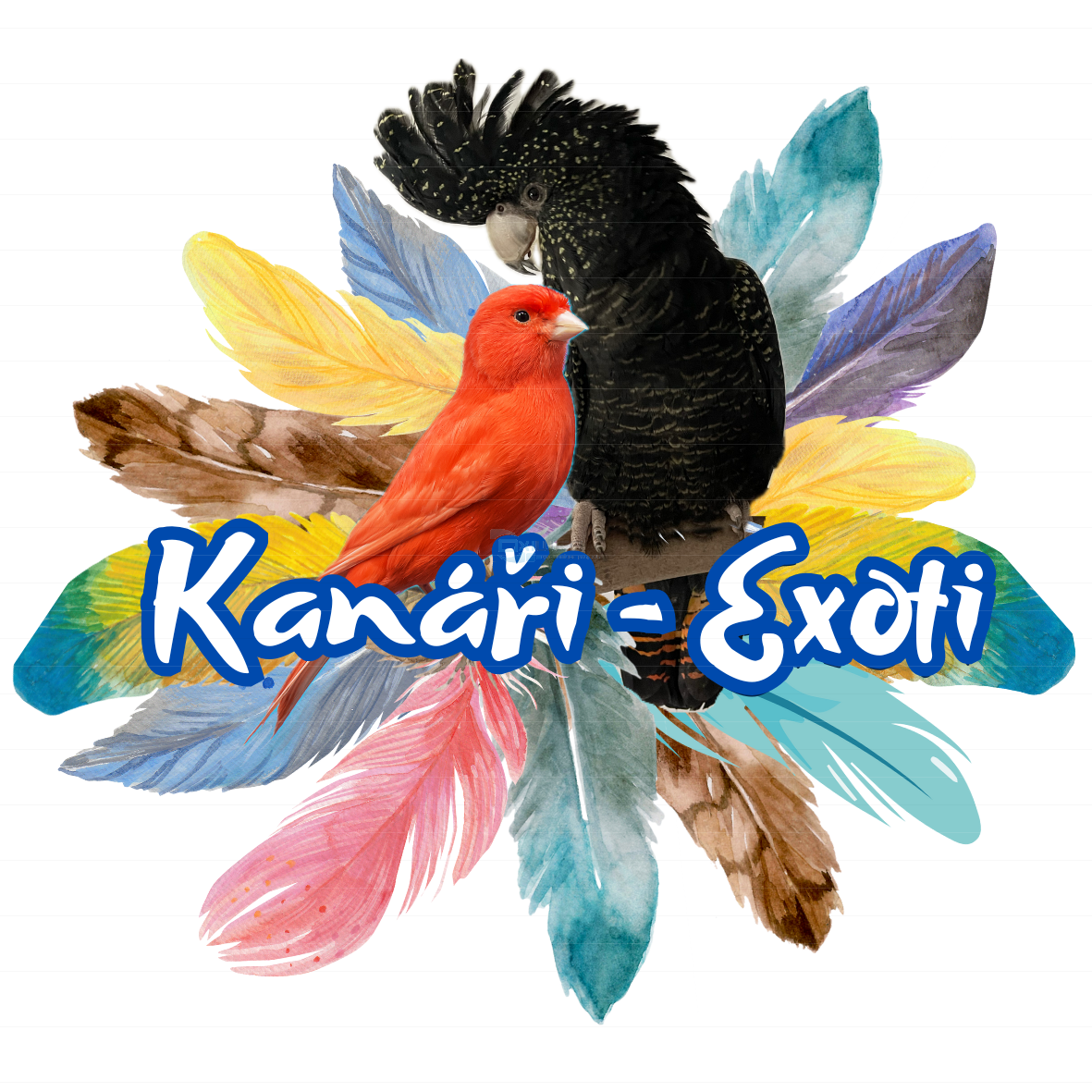 www.kanari-exoti.cz